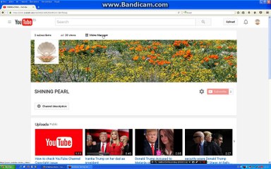 How to check Community Guidelines Status on your YouTube Channel