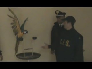 Saviano (NA) - Cocaina in cambio di sesso in agriturismo, 11 arresti (07.11.16)