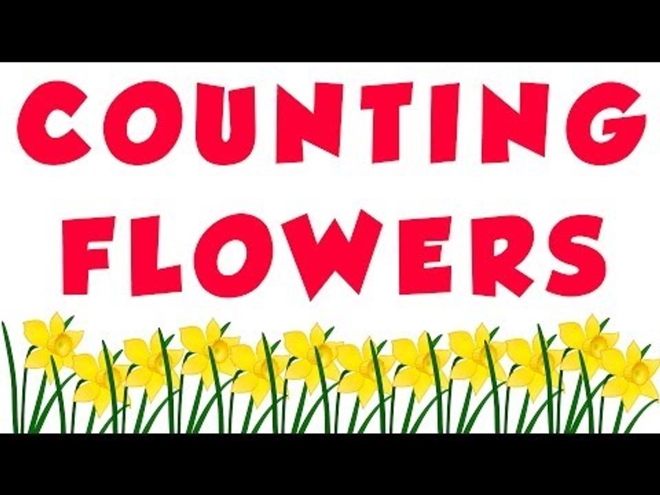 Fun With Numbers -  Counting Flowers