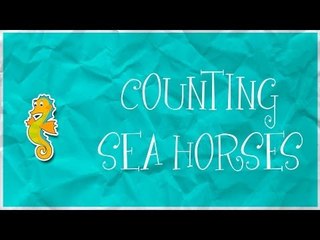 Counting Sea Horses