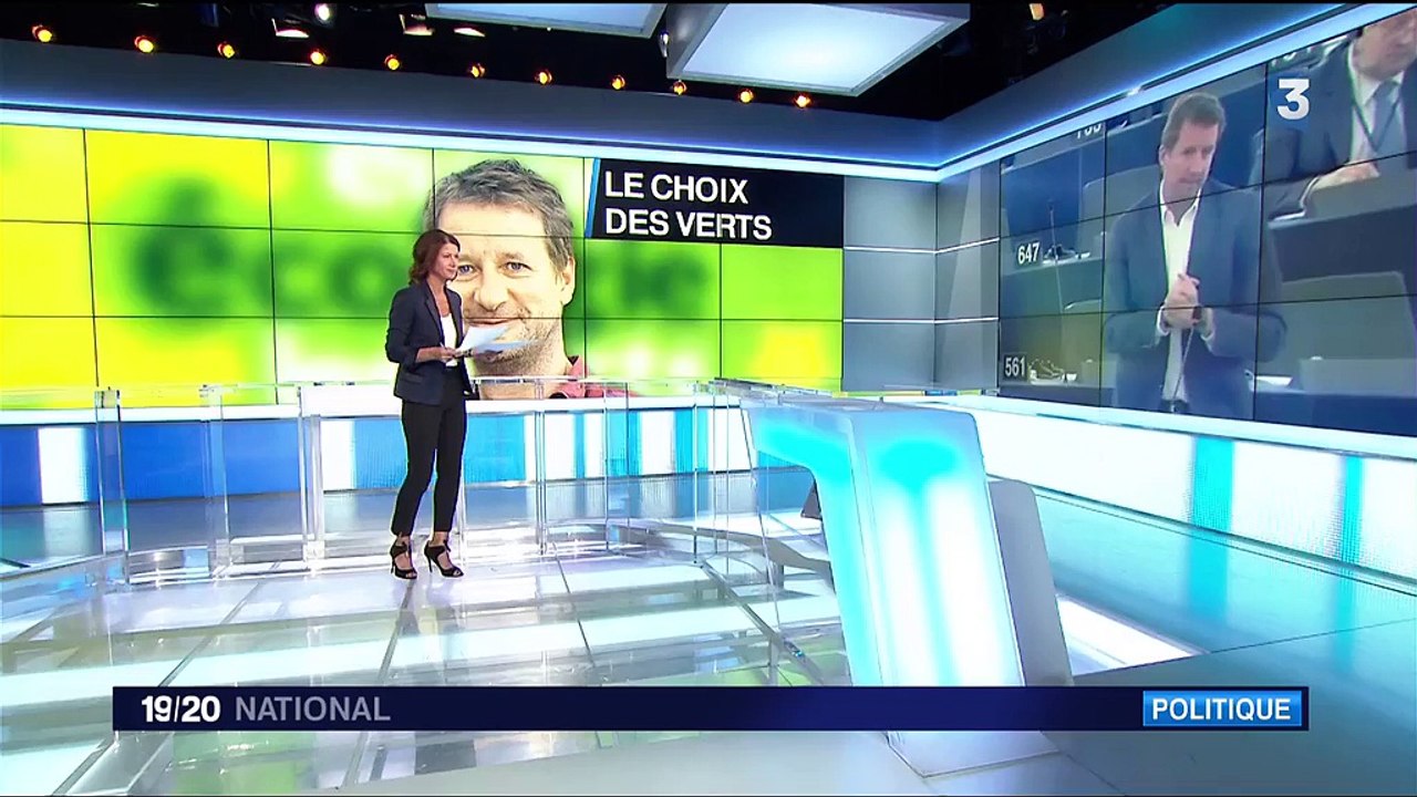 Primaire d'Europe écologie-Les Verts : Yannick Jadot élu