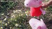 Peppa Pig en Español | Vacaciones en el Campo con Peppa Pig y su hermanito George