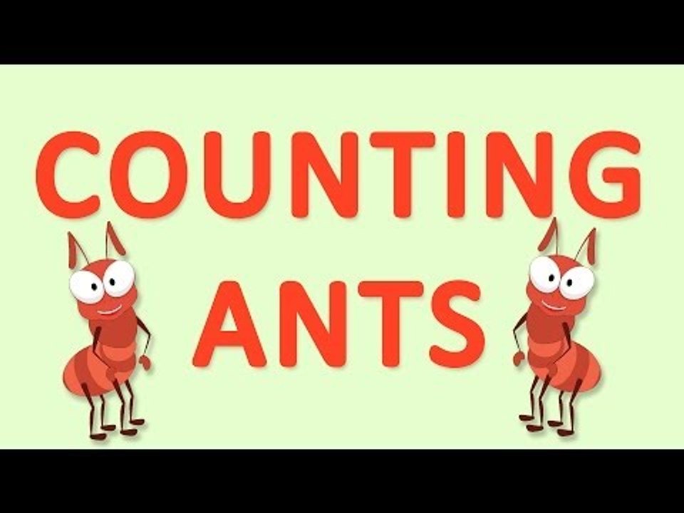 Counting Ants