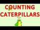 Counting Caterpillars