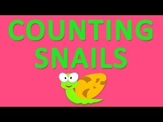 Counting Snails