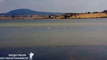 Enez Gezilecek Yerler - Taşaltı Gölü ve Göçmen Kuşlar