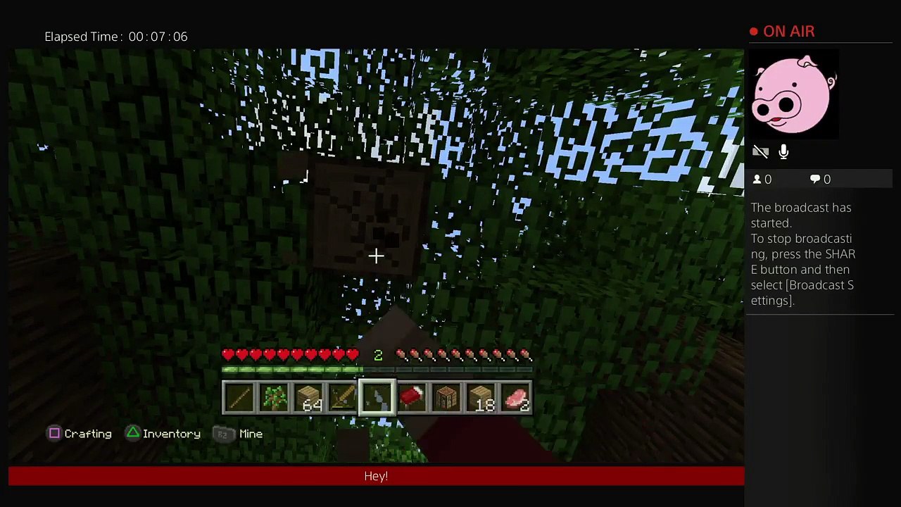 Minecraft (2)
