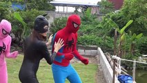 Frozen Elsa vs Spiderman DEAD FLOATING pink Spider Family fun superhero in real life- PART 4