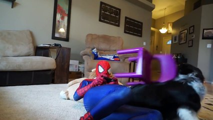 Spiderman vs Joker vs Batgirl vs Spidergirl Superhero kids Battle
