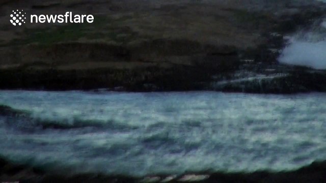 Boy, 8, laughs at older brother crashing remote controlled plane