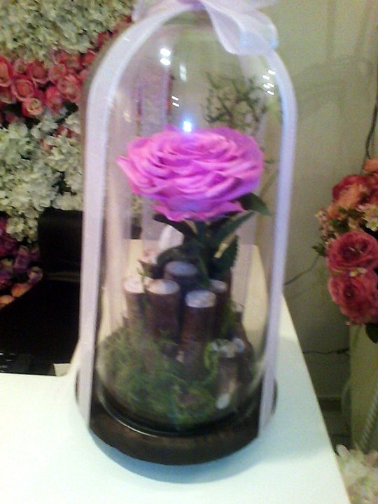 Flower Gift in U.A.E(only $300)free Delevry