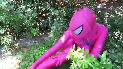 Spiderman vs Joker vs Frozen Elsa - Funny Fall Fail! w/ Zombie Attack! - Funny Superheroes