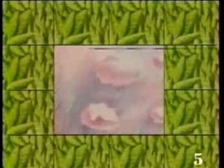 Générique le temps de Nicolas La 5 - 1991