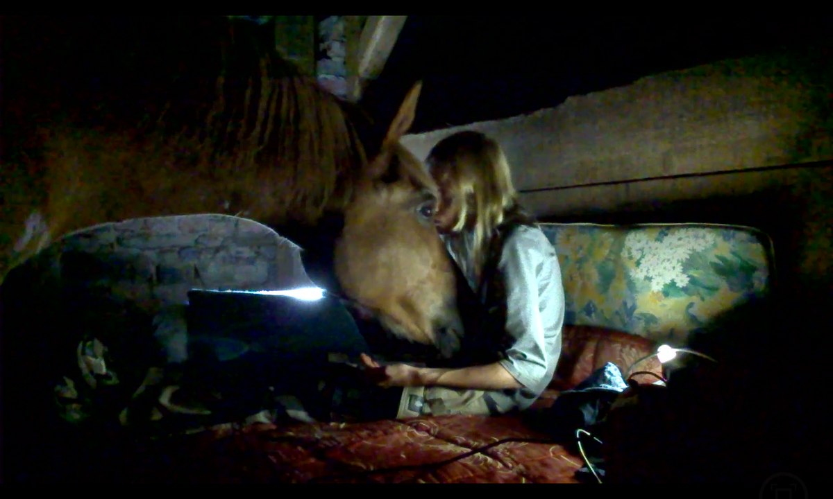 [horsegirlship 28] Holidays with the monkeys 2016 - Part 1 (1st day-Sleeping in the stable)