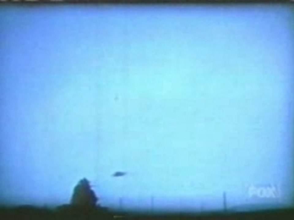 MeierTreeCircleFootage1