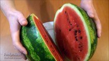 How to Cut a Watermelon to Eat - Food Life Hacks