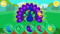 Learn Animal Traits and Behaviors with Friends of the Forest by BabyBus Kids Games