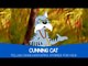 Panchatantra Tales - Cunning Cat | Stories For Kids in Telugu