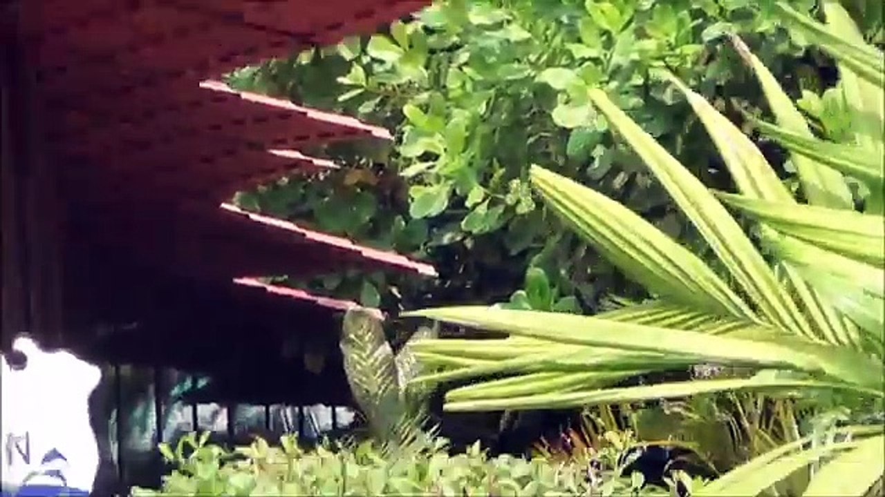 Top Resorts in South Goa near Beach-Baywatch resort