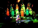 Björk live arènes de Nîmes