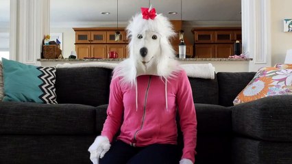 Human Dogs in Real Life - Baking Puppy Treats IRL Doggy Daycare Episode- part1