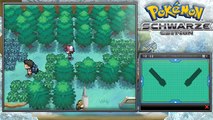 Lets Play Pokémon Schwarze Edition Part 27: Fights auf Route 5!