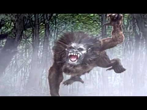 Chuyên Mục Bí Ẩn : Bí ẩn loài quỷ hầu khiến con người mất ăn mất ngủ