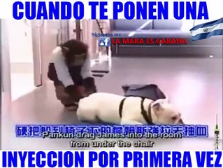 Cuando te ponen una inyeccion por primera vez