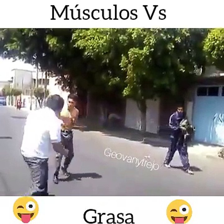 musculo vs grasa