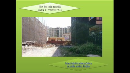 Plot for sale in noida sector 17, 9910007573