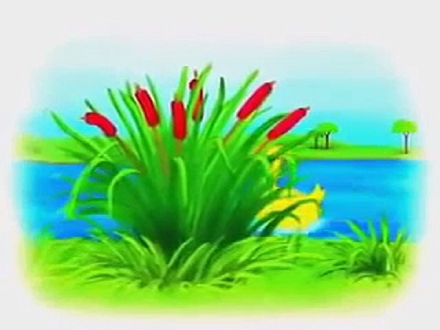 ⁣МУЛЬТИКИ для малышей !