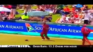 The Best catches in cricket history of all time!! - dailymotion