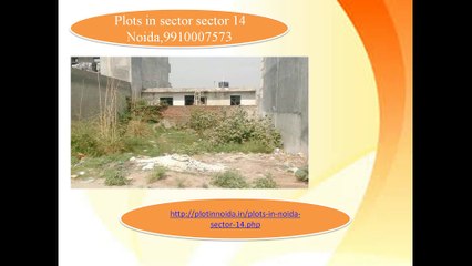 Plot in sector 14 Noida, 9910007573