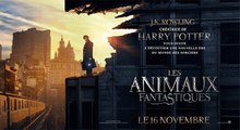 LES ANIMAUX FANTASTIQUES Bande annonce finale VF