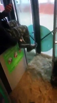 Reshjet e shiut - Uji futet ne linjat urbane