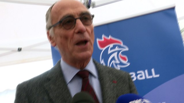 Handball - Joël Delplanque: C'est un rêve pour les handballeurs
