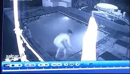 Un crocodile interrompt le bain nocturne d'un couple dans une piscine