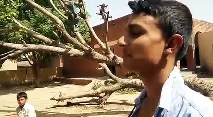 Gabbar Is Back 2 in Desi Version FUNNY & Comedy