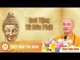 Quà Tặng Từ Đức Phật - Thầy Thích Thiện Xuân 2016