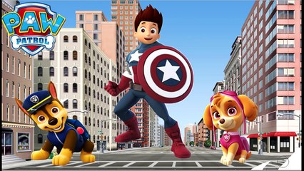 PAW PATROL Full Funny Transforming Videos with CAPTAIN AMERICA DC COMICS, NINJA TURTLES & ZOOTOPIA