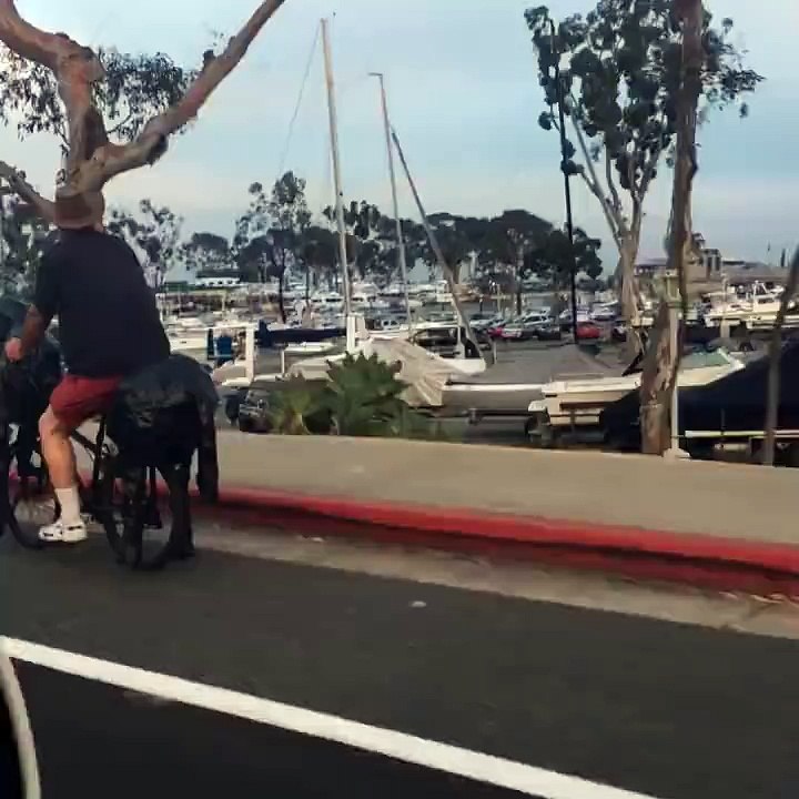 The Horse Bike _span class