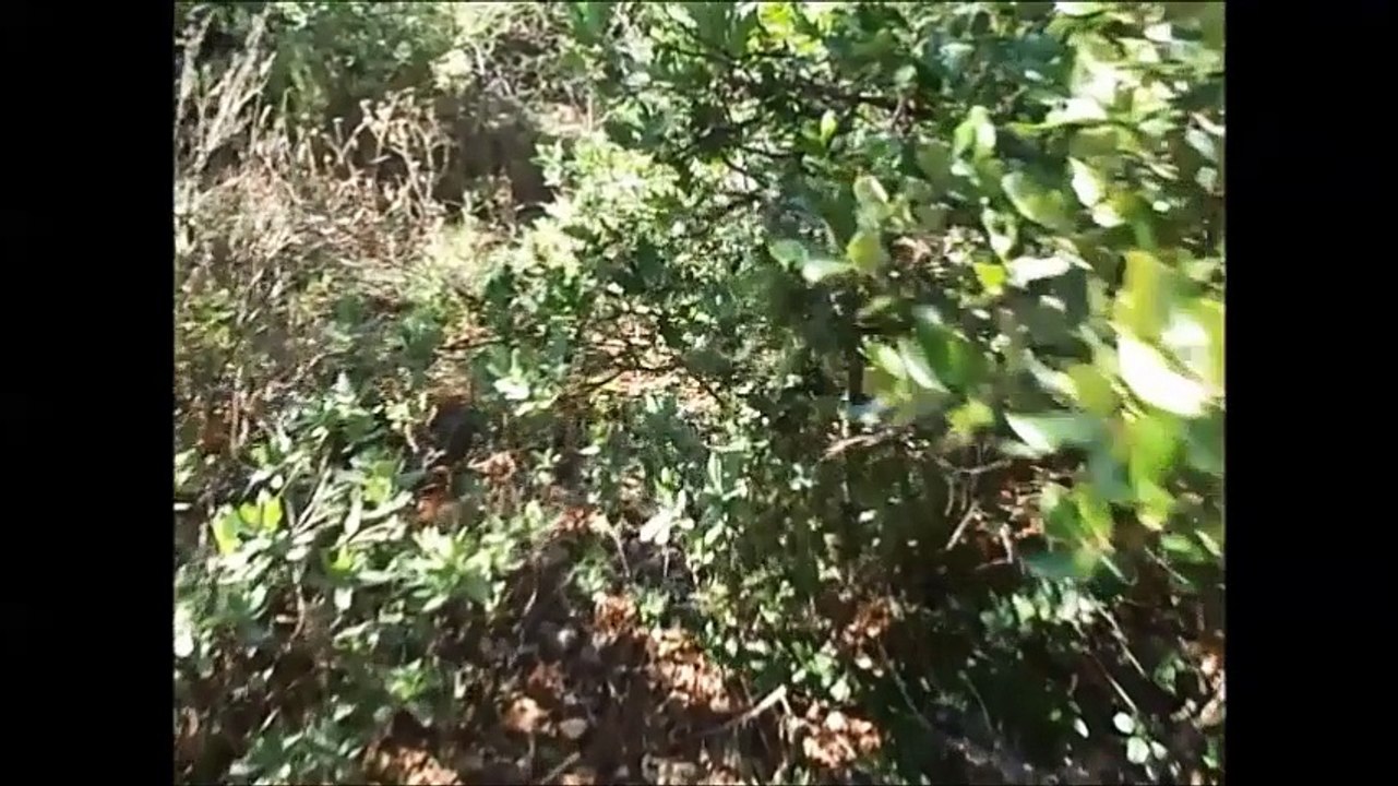 20.10.2016. Entraînement sur le plateau avec les filles1 music