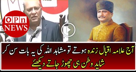 Mushahidullah Khan Statement To banned Iqbal Day