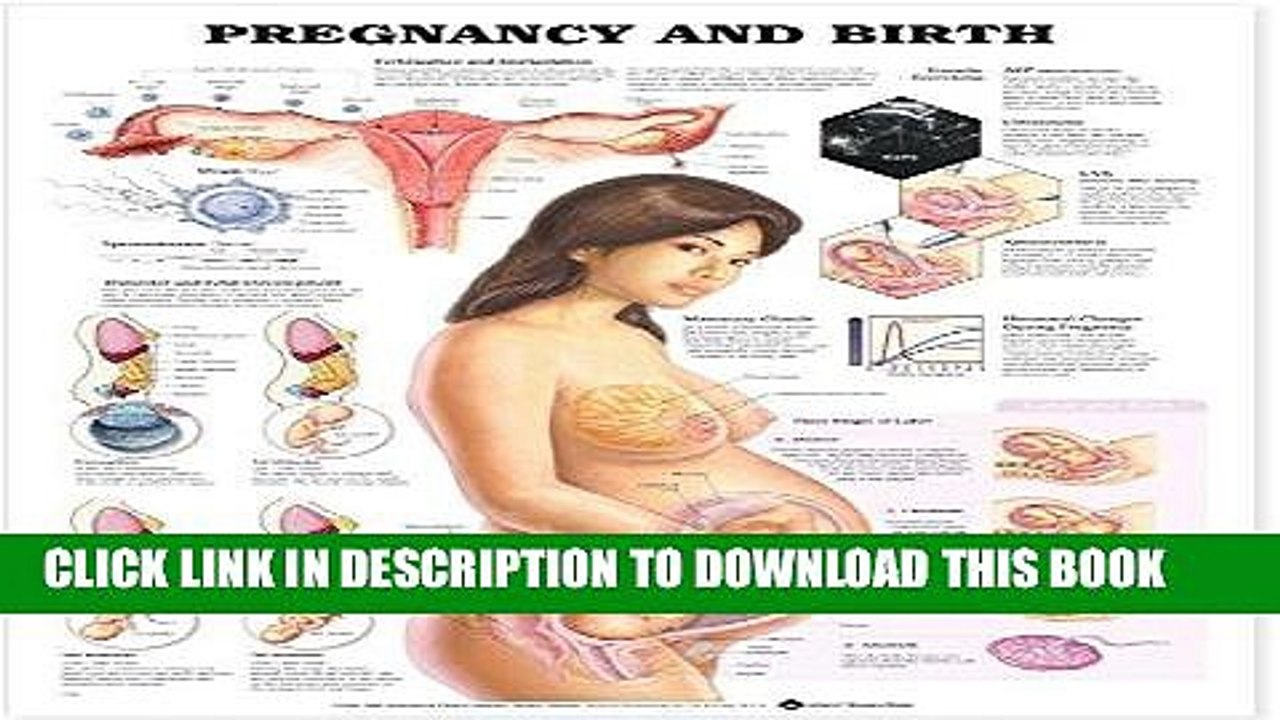 [PDF] Epub Pregnancy and Birth Full Download