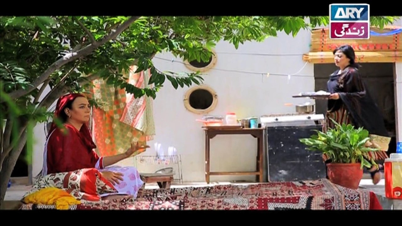 Khushaal Susraal Ep 115 - on Ary Zindagi in High Quality 8th November 2016