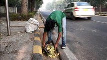 Escuelas cerradas y obras paralizadas por polución en India