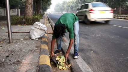 Escuelas cerradas y obras paralizadas por polución en India