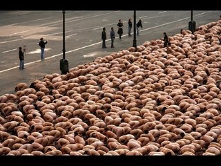 Top 9 Kỷ Lục Khỏa Thân Kì Lạ Nhất Trên Thế Giới | Việt Vivu |