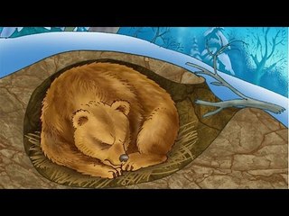 Top 10 Điều Phổ Biến Trong Mùa Đoonng Có Thể Bạn Chưa Biết | Việt Vivu |