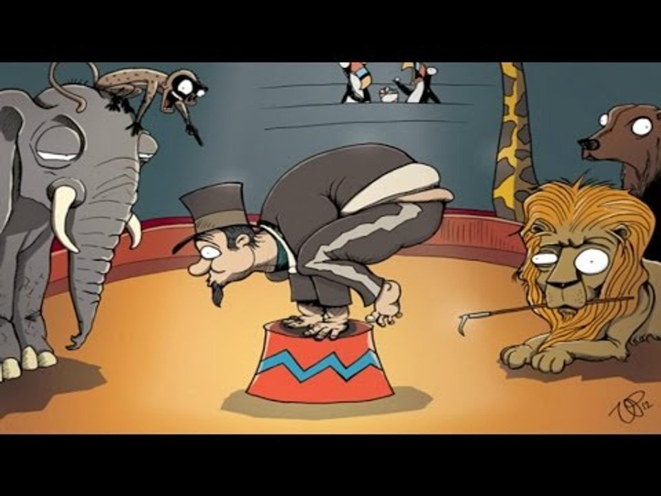 Top 40 Khoảnh Khắc Động Vật Lên Ngôi Bá Chủ Thế Giới Và Thống Trị Toàn Cầu | Việt Vivu|